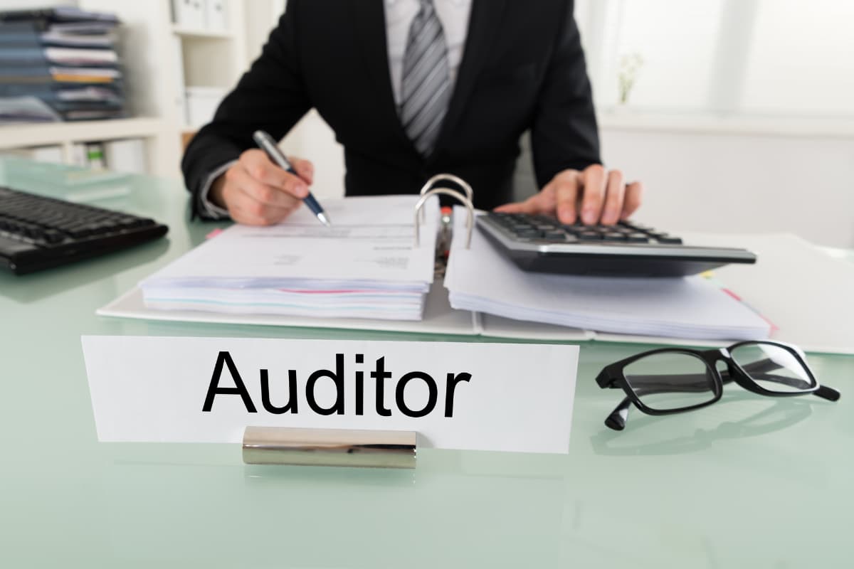 What Does A Costco Inventory Auditor Do? (Job, Duties, Pay)