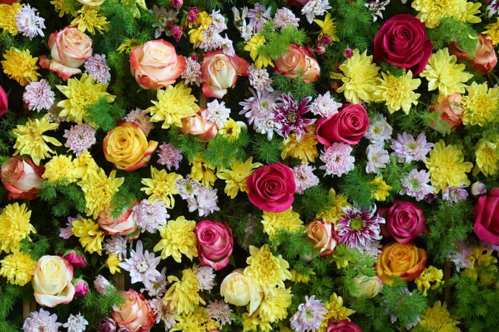 Look at the different kinds of Walmart Flowers like garden roses, tulips, Persian buttercup, Chrysanthemum and decorative grass available at Walmart.