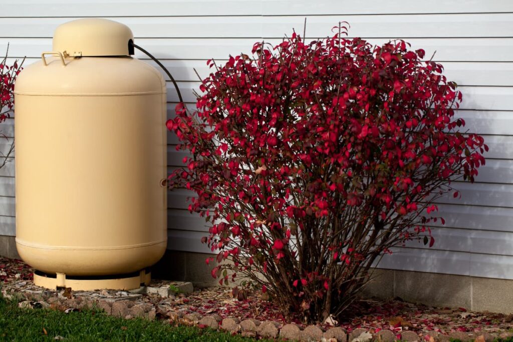 Walmart Propane Tank placed near to Burning bush plant in a green garden.