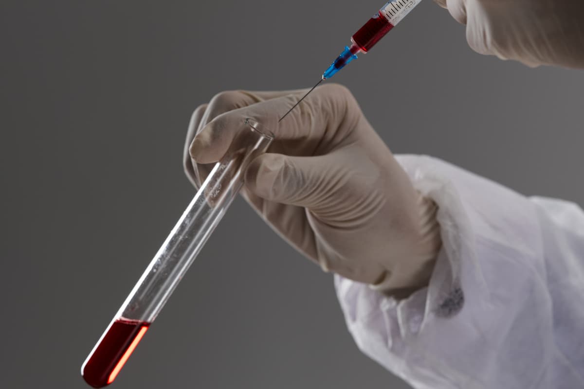 Does Publix Do Drug Test? (How To, New Employees, How Long)